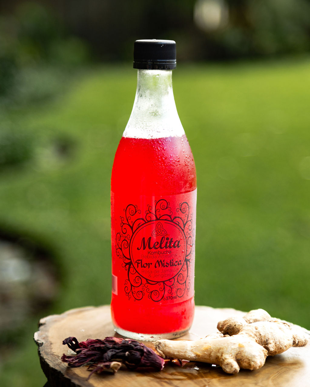 Kombucha Flor Mística de rosa de jamaica, roja y vibrante, en el jardín